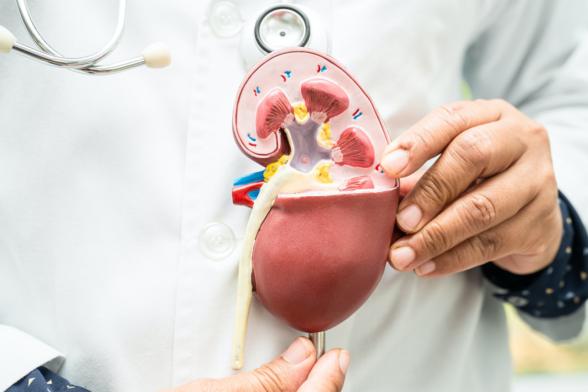 Read more about the article Unio Specialty Care – Urology – Inglewood